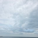 정의칼국수