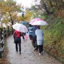 단비공원 이미지