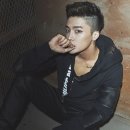 렉스 이미지