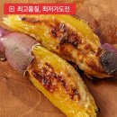 베니하우스25 | 25년 10월 임산부 15주-18주 일상 몰아보기