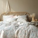 알레르망 이미지