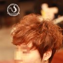 스왈로