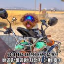한울 | 강아지 자전거 대여 바구니 선택 팁&amp;배곧한울공원 라이딩 후기