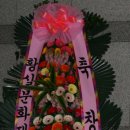 연지사