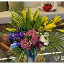 모세마취통증의학과의원 이미지