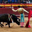 케렌시아 이미지