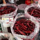 괴산고추축제 | 괴산 고추축제 2025 후기- 괴산 고추의 매력에 흠뻑 빠진 하루