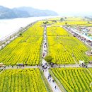 낙동강변12 이미지