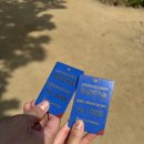 곰배령화원 | [곰배령] 천상의 화원 인제 곰배령 예약 등산코스 방문후기