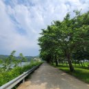 영호대교 북단 아래 이미지