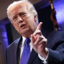 pet 10라 3194 이미지