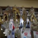 해동상회 이미지
