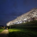 회야강변 이미지