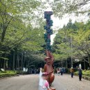 절물생태관리소 (절물자연휴양림) | 제주 힐링코스 절물자연휴양림 후기 - 비온 뒤라 더 몽환적이었던 후기