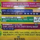 엘로디왁싱