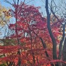 계룡산둘레길 동학계곡 옛길 단풍 🍁 이미지