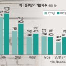 블루칼라