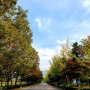 나무고아원 이미지