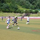 백암1천 이미지