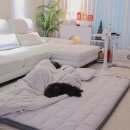 7 | 지누스 토퍼 포레스트워크메모리폼 7cm 후기