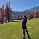 (주)모우 | 강원도 홍천 골프장 클럽모우cc 1부 라운드 후기 날씨+ 조식