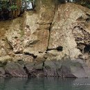 남원읍-123 이미지