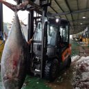 참치어장 이미지