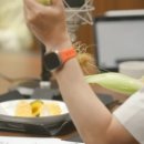 제주미식회 이미지