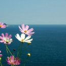 김동규 10월의 어느 멋진 날에 이미지