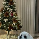 위드뚜뚜 이미지