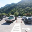 금대에코힐링캠핑장(주차장) 이미지