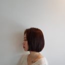 짜르지오 이미지