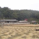 영주 천운정 이미지