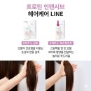 애터미 프로틴 인텐시브 샴푸, 트리트먼트의 효능 성분 후기 주의사항