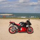 유온브릿지 이미지