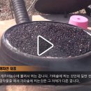 [최저가 공동구매] 지리산 청정지역 발효 재래 공법으로 만든 정다믄 선식(2020.03.16 ~ 03.31) 이미지