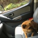 청평동물병원 이미지