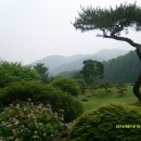오우가