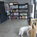 중문동물병원 이미지