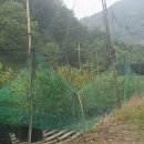 삼싹농장 이미지