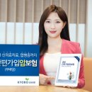 교보생명 이미지