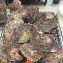 청정횟집 | 제부도횟집 내집처럼청정수산에 다녀온 후기