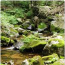 홍천(양양) 이미지