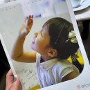 아일랜드유치원 | 대구 수성구 아일랜드 유치원 2026년 원아모집 설명회 후기