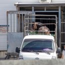 제주축산농협 축산물공판장 이미지