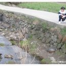 인경농장 이미지