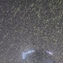 유튜브 프리미엄 돈내고 보시는분 없죠? 이미지