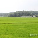 감곡1리경로당 이미지