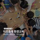 금빛환경 | [금빛] 그린러닝투유 미호종개 환경교육 후기