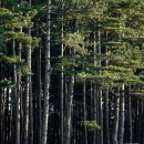 스테이 휴 이미지